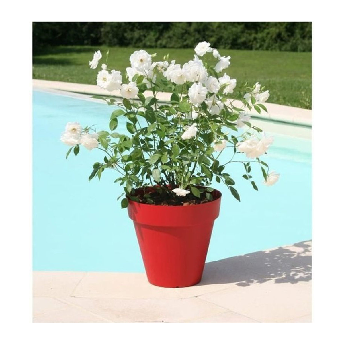 Rundes Blumentopf RIVIERA Soleilla aus Polypropylen, Farbe: Rot, Durchmesser: 60 cm, Höhe: 53,6 cm - Bild 1