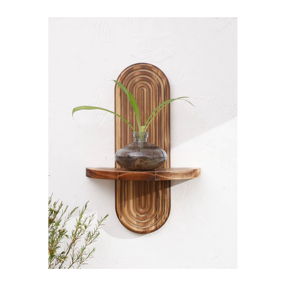 Rustikales Boho Wandregal aus Holz in ovaler Geometrie, Wandregal für Pflanzen und Heimdekor, Schwarz oder Natur - Bild 4