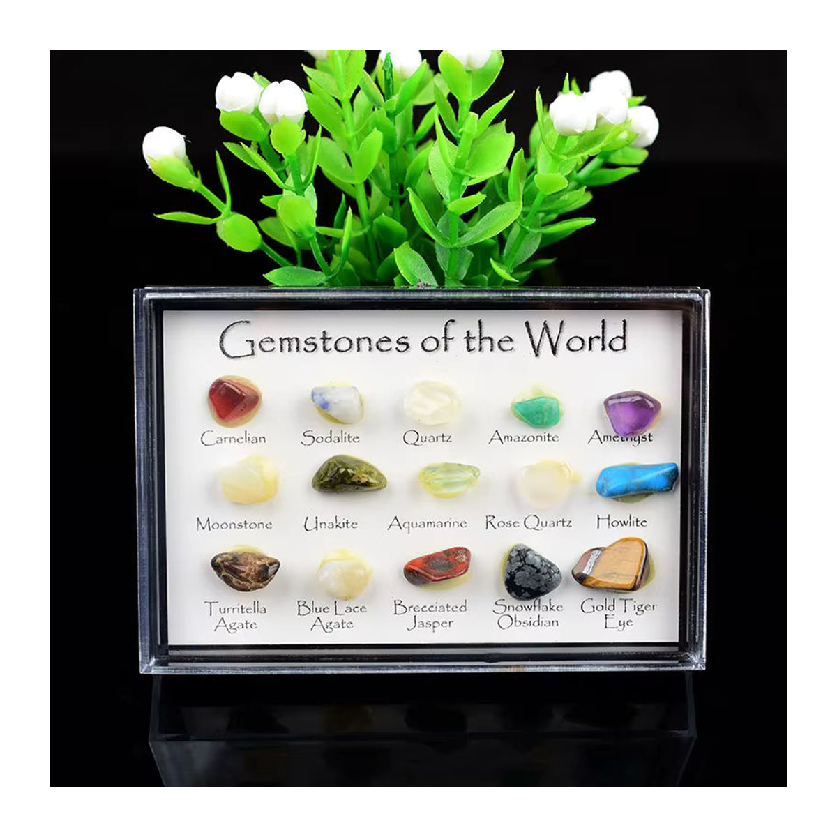 RYCRYSTAL Mineralprobenbox mit 15 Arten natürlicher Kristallsteine, mehrfarbig, rechteckig - Bild 3
