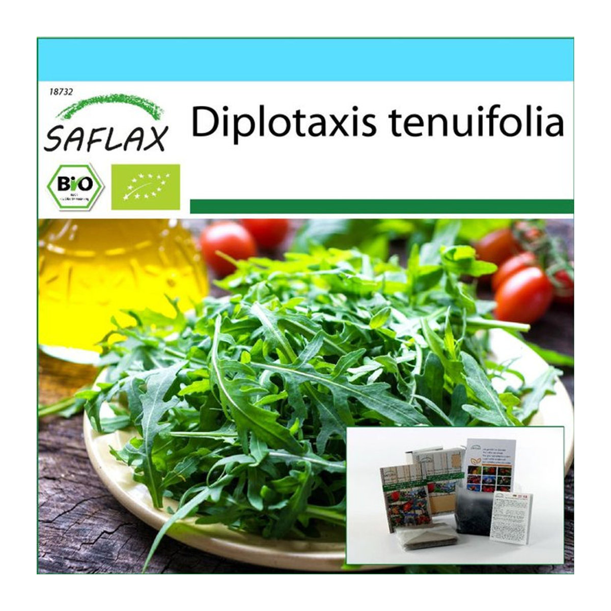 SAFLAX Bio Geschenkset Wilder Rucola Diplotaxis tenuifolia mit 1500 Samen, Geschenkbox, Karte, Etikett und Topfsubstrat - Bild 1