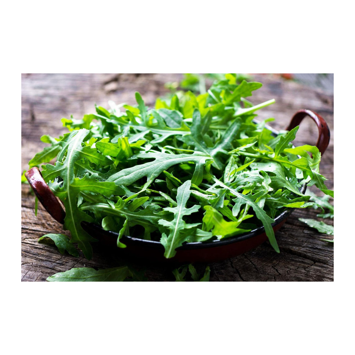 SAFLAX Bio Geschenkset Wilder Rucola Diplotaxis tenuifolia mit 1500 Samen, Geschenkbox, Karte, Etikett und Topfsubstrat - Bild 6