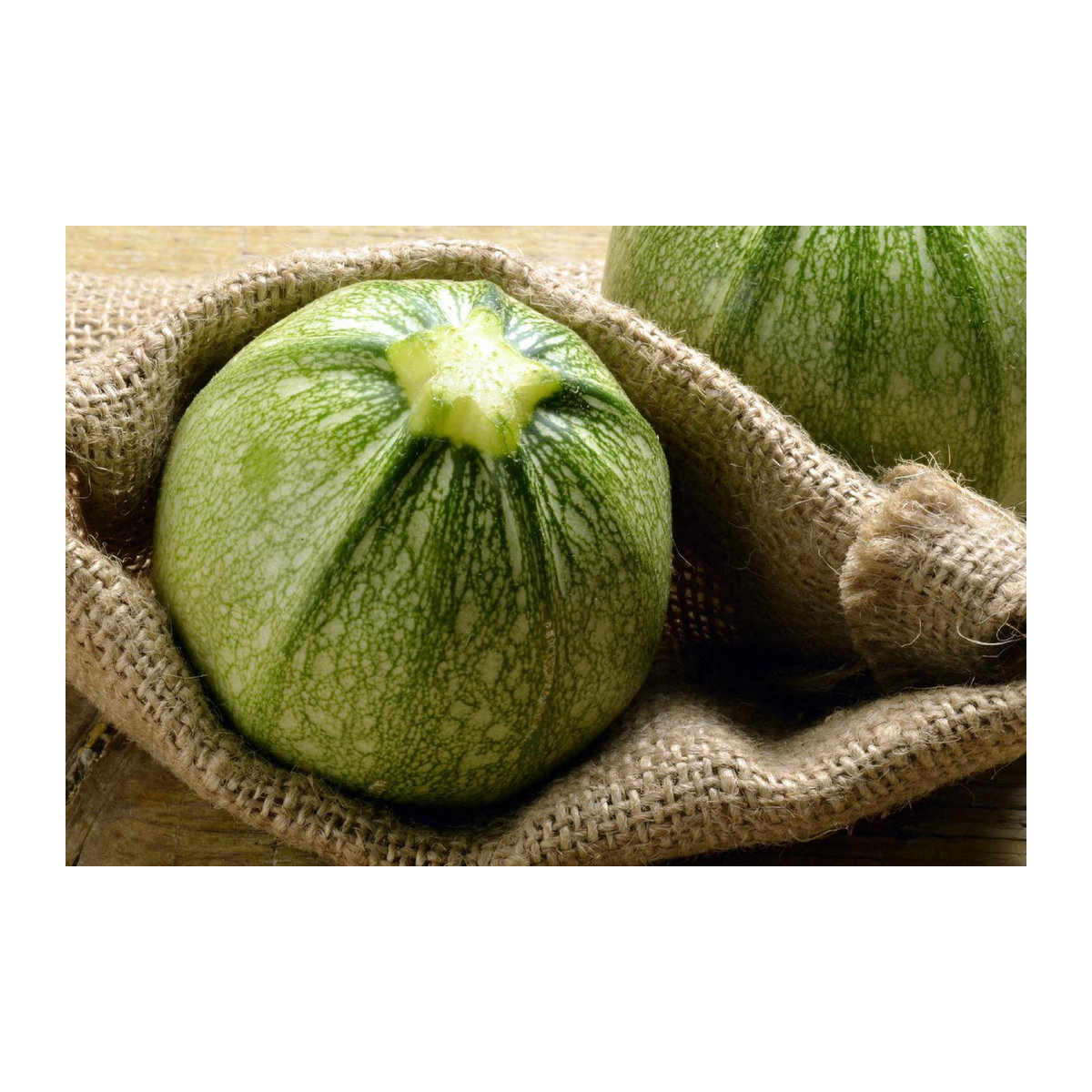 SAFLAX Biologisches Courgette Tondo di Nizza Saatgut Set mit Substrat und passendem Pflanzbeutel (5 Samen) - Bild 4