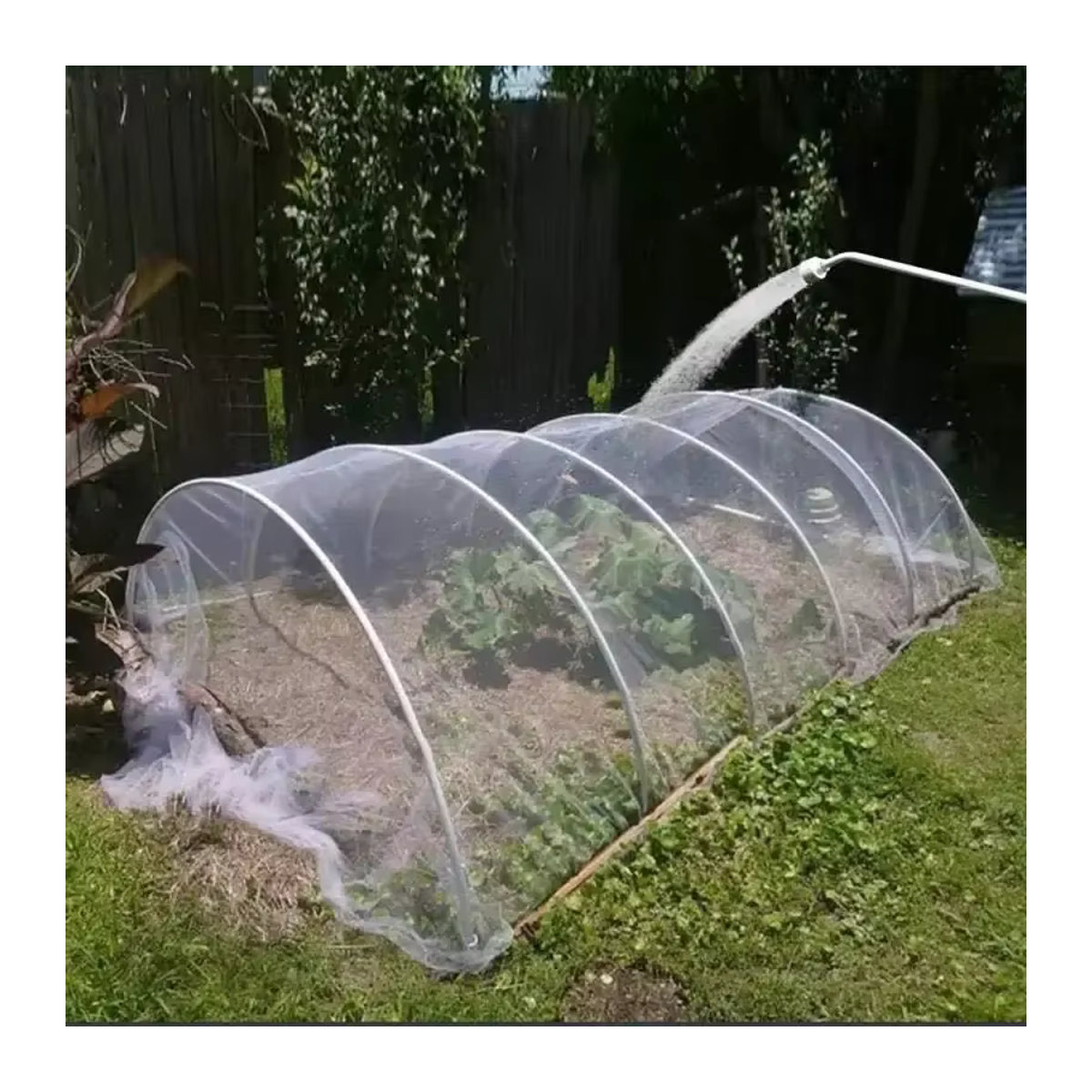 Schutznetz für Gemüse und Pflanzen als Insekten- und Vogelschutz im Garten - Bild 5
