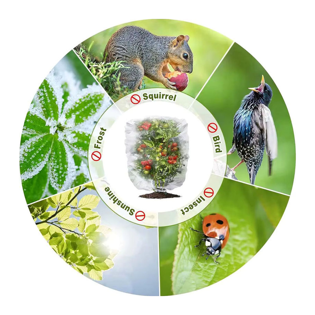 Schutztasche aus Mesh-Netz in Weiß zur Schädlingsbekämpfung und zum Vogelschutz für Pflanzen, Bäume, Gemüse, Erdbeeren und Trauben - Bild 5