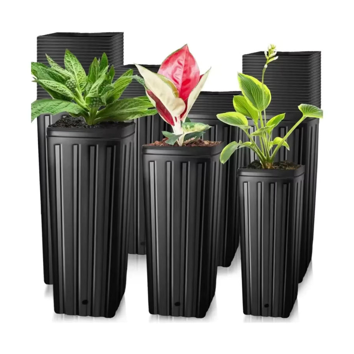 Schwarze tiefe Pflanzentöpfe aus Kunststoff mit Abflusslöchern für Blumen und Sämlinge - Bild 2