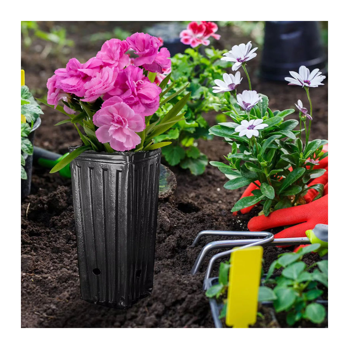 Schwarze tiefe Pflanzentöpfe aus Kunststoff mit Abflusslöchern für Blumen und Sämlinge - Bild 3