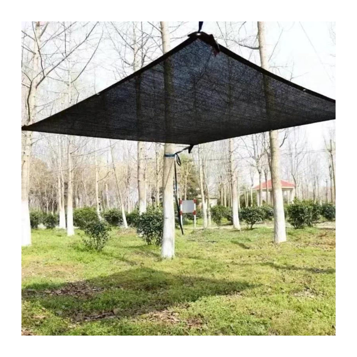 Schwarzes Schattentuch von HAOHX77 als Sonnenschutznetz mit Ösen für Pergola, Gewächshaus und Terrassenüberdachung B: 5 m, T: 4 m - Bild 4