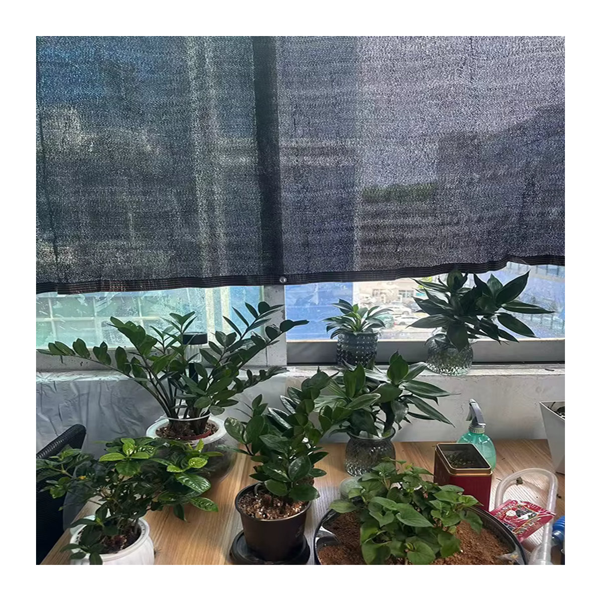 Schwarzes Sonnenschutznetz als Sichtschutz und UV-Schutz für dein Pflanzengewächshaus und den Garten - Bild 5