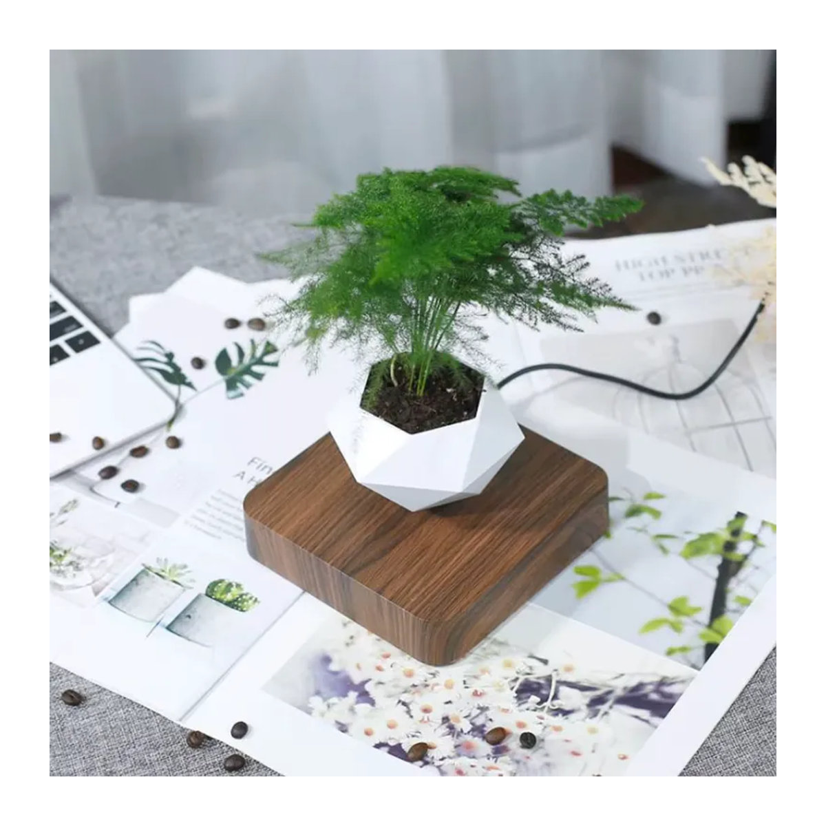 Schwebender Luft-Bonsai-Topf mit magnetischer Aufhängung, geometrisches Design aus Holz und Keramik in Braun und Weiß - Bild 3