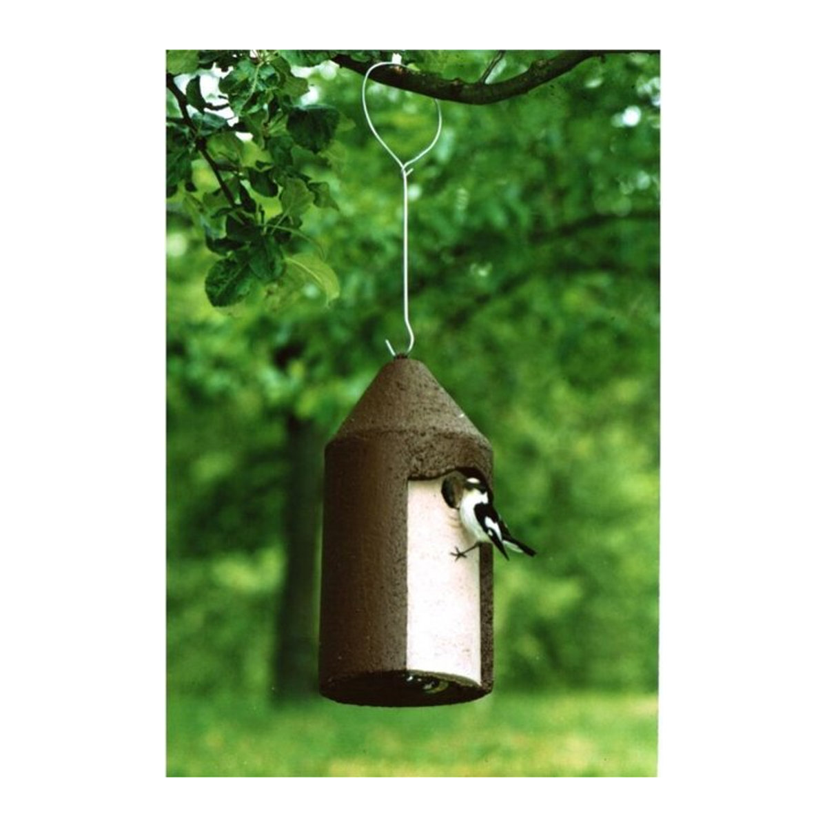 Schwegler Nisthöhle für Meisen aus Holz und Beton in Braun und Grau, H x B x T: 35 x 17 x 16 cm - Bild 2