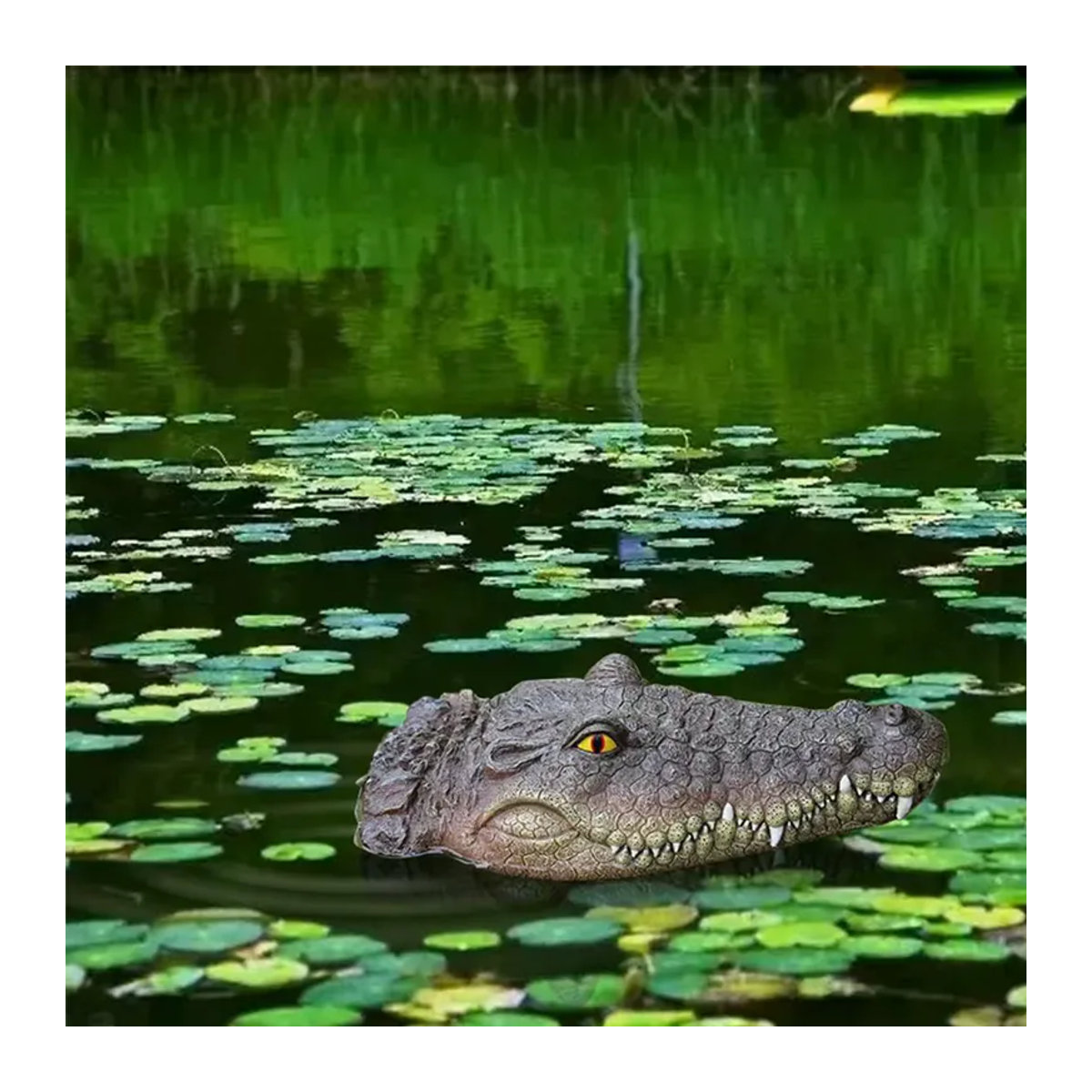 Schwimmender Krokodilkopf-Köder zur Entenabschreckung in Grau - Bild 3