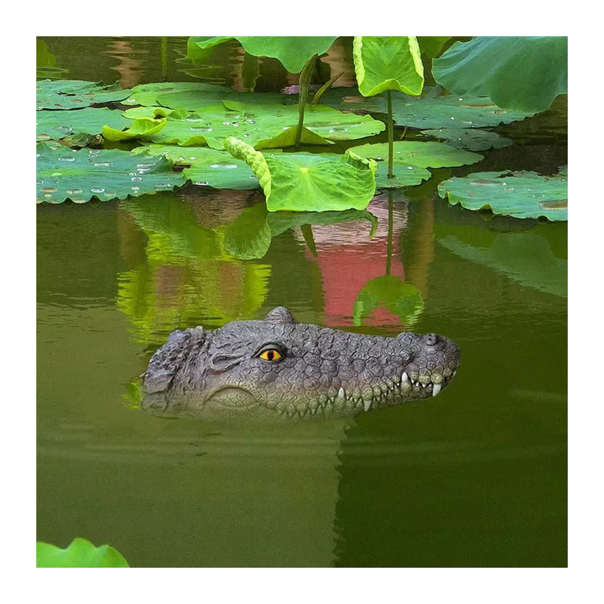 Schwimmender Krokodilkopf-Köder zur Entenabschreckung in Grau - Bild 4