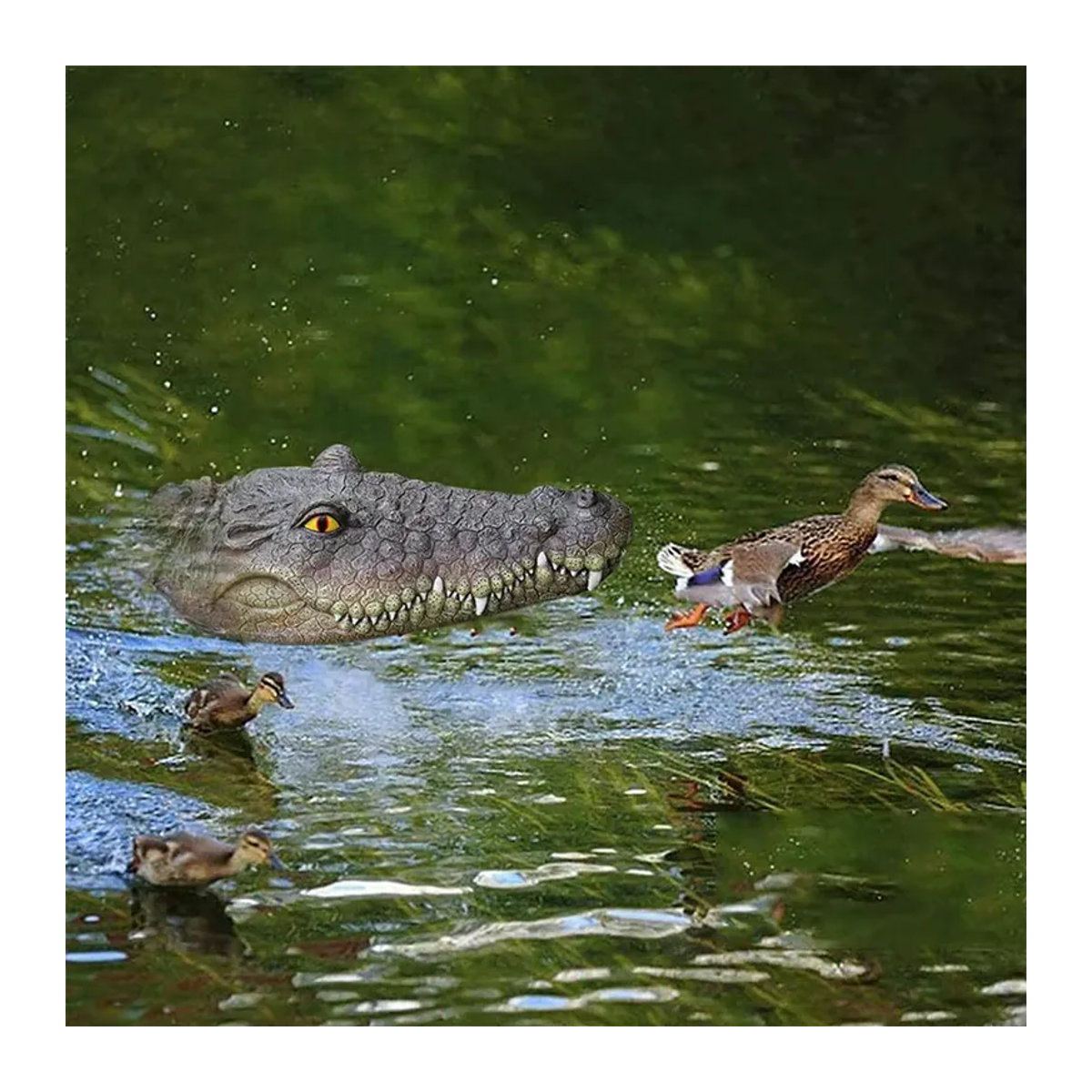 Schwimmender Krokodilkopf-Köder zur Entenabschreckung in Grau - Bild 5
