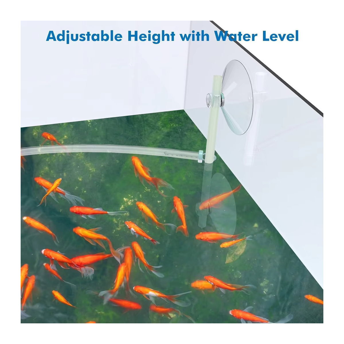 Schwimmender Pflanzenzaun für Aquarien aus transparentem Kunststoff mit 65 cm Schlauchlänge zur Verbesserung der Wasserqualität - Bild 2