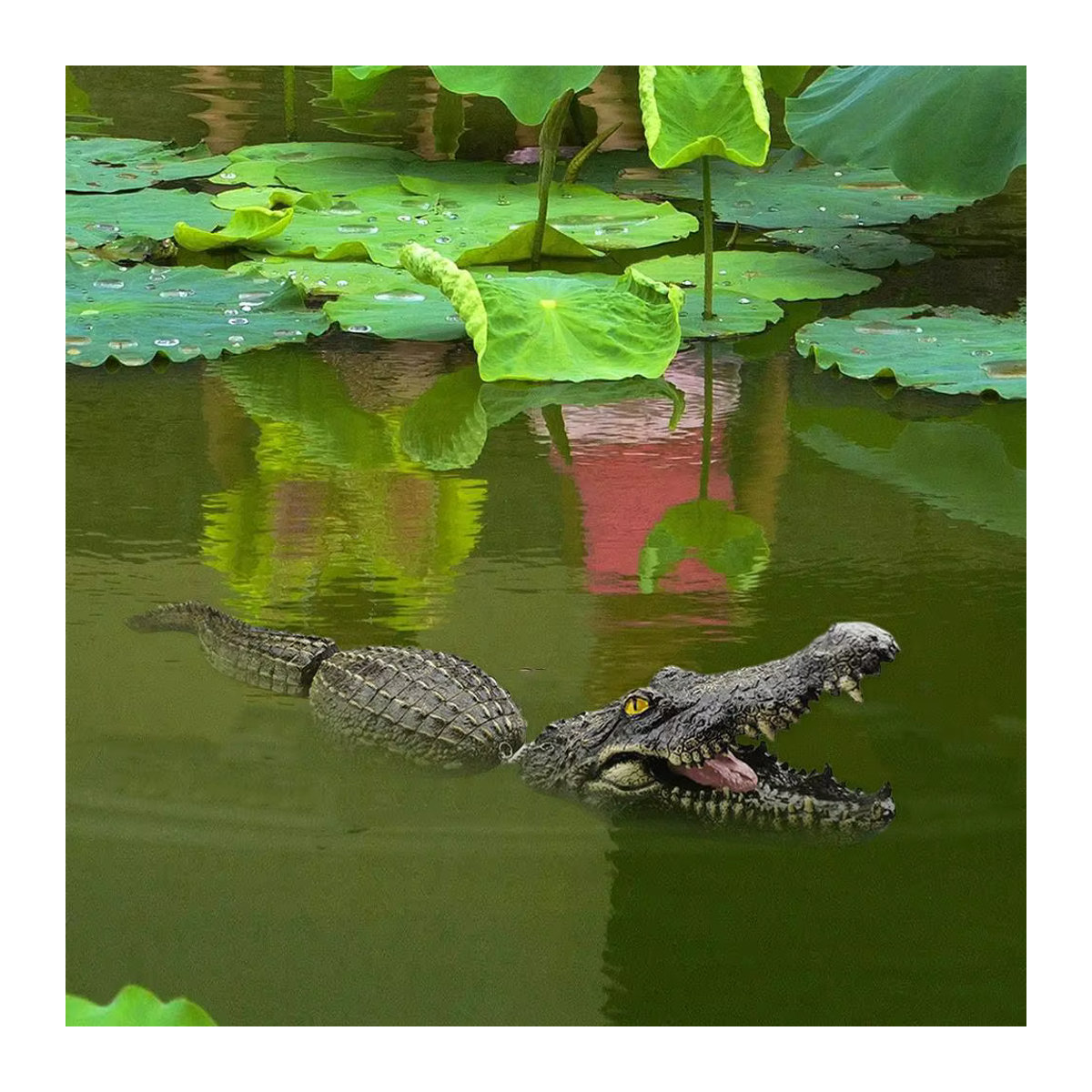 Schwimmendes Krokodil für Garten und Pool als Deko-Köder in Grün - Bild 2
