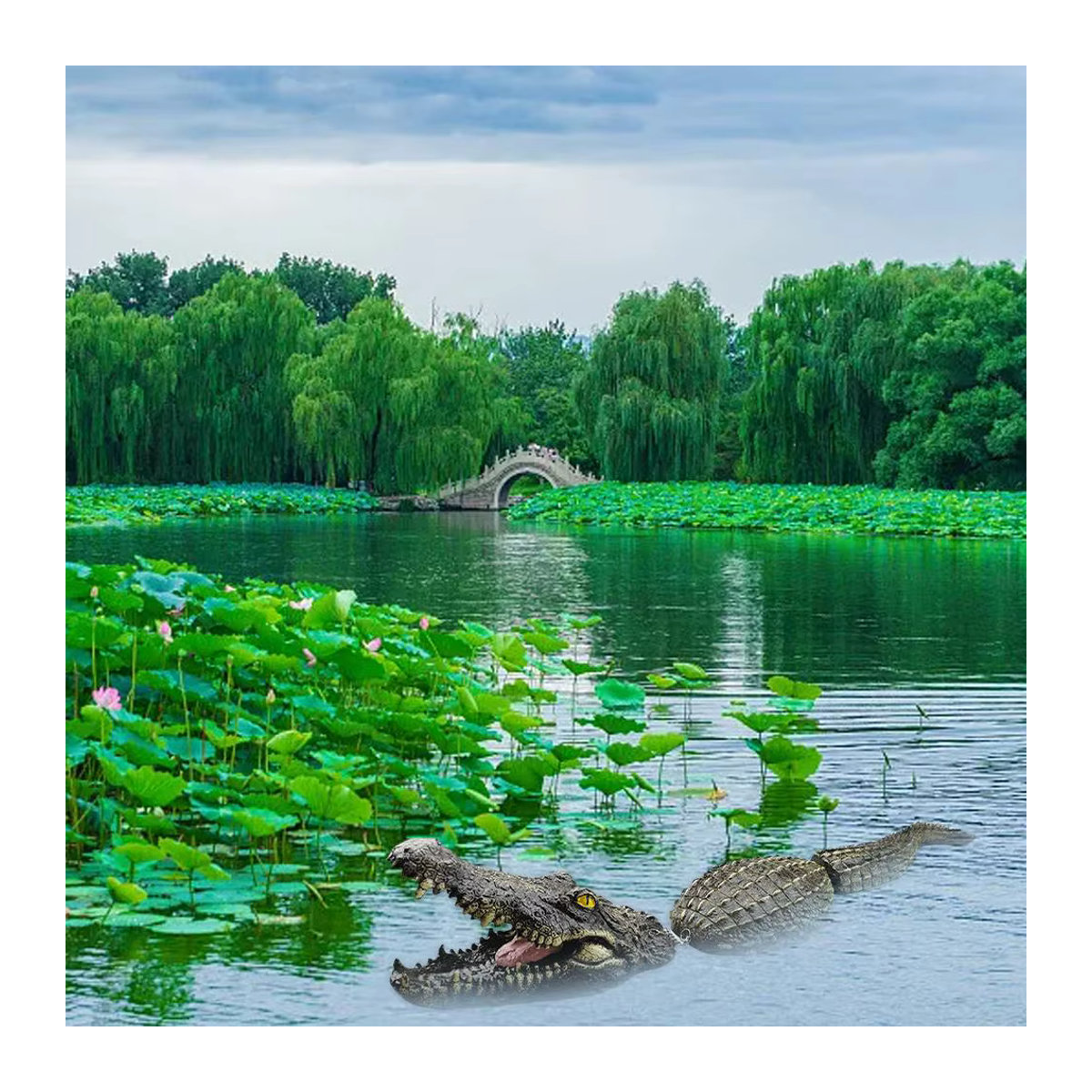 Schwimmendes Krokodil für Garten und Pool als Deko-Köder in Grün - Bild 5