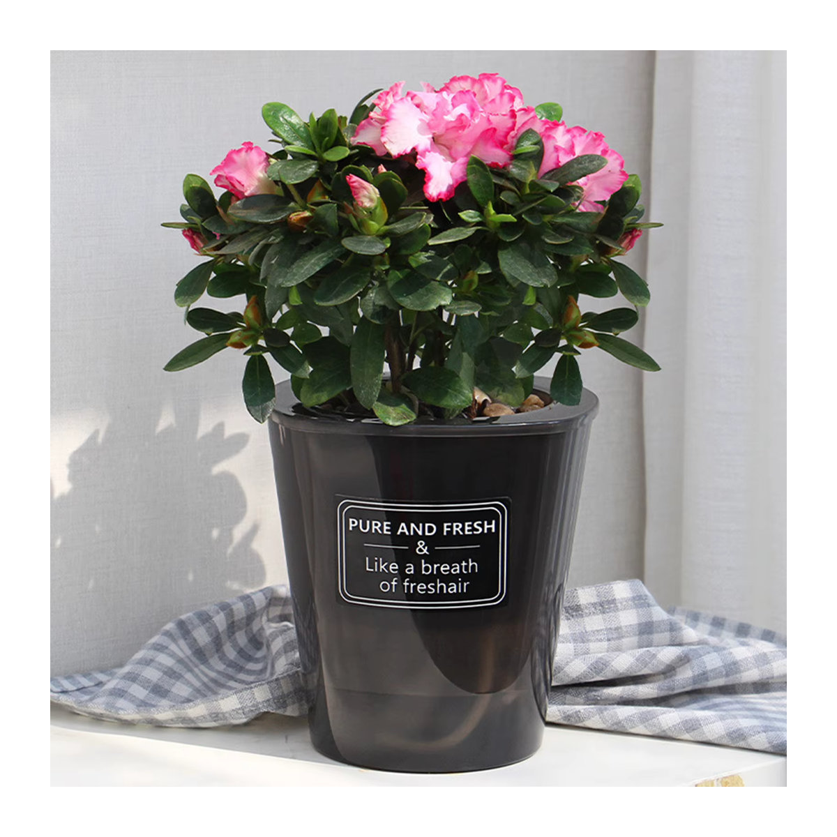 Selbstansaugender Blumentopf im skandinavischen Design aus Kunststoff, schwarz, rund und stehend - Bild 4