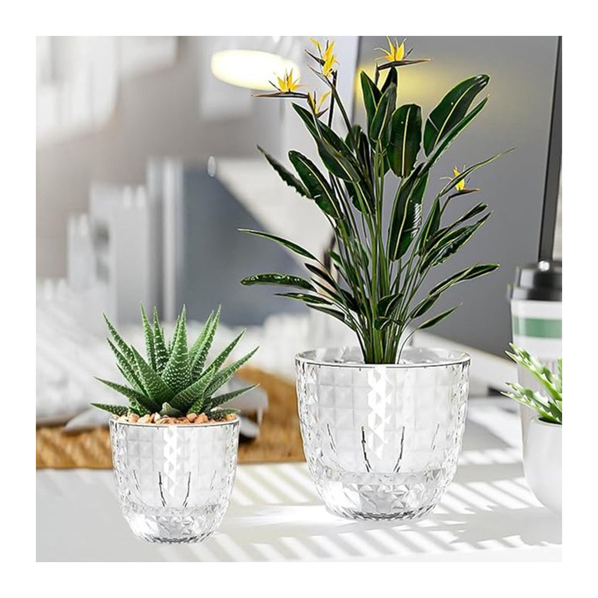 Selbstbewässernde Hydrokultur-Pflanzenvase von ACRDDK aus transparentem Kunststoff mit Baumwollseil und geometrischem Design - Bild 1
