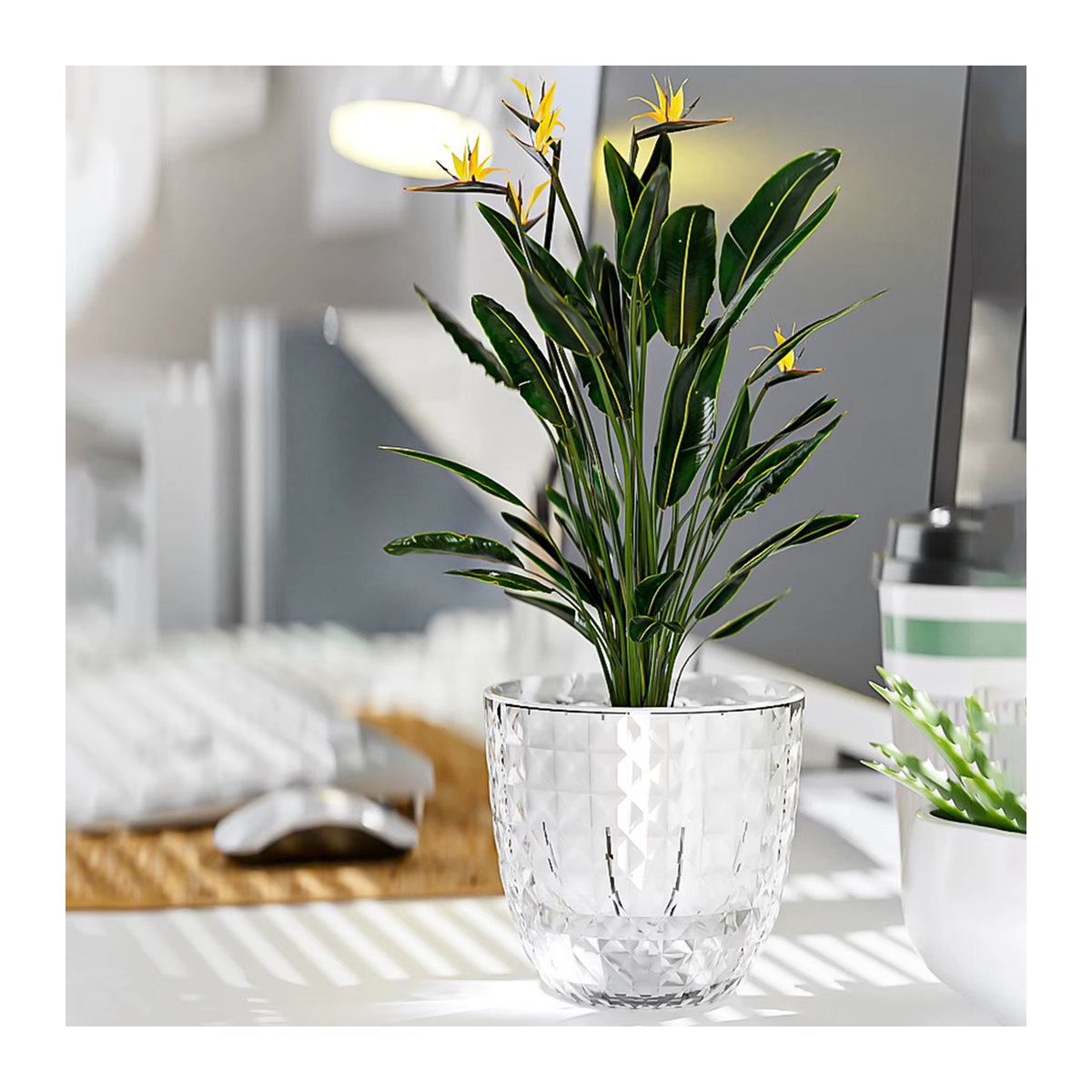 Selbstbewässernde Hydrokultur-Pflanzenvase von ACRDDK aus transparentem Kunststoff mit Baumwollseil und geometrischem Design - Bild 3