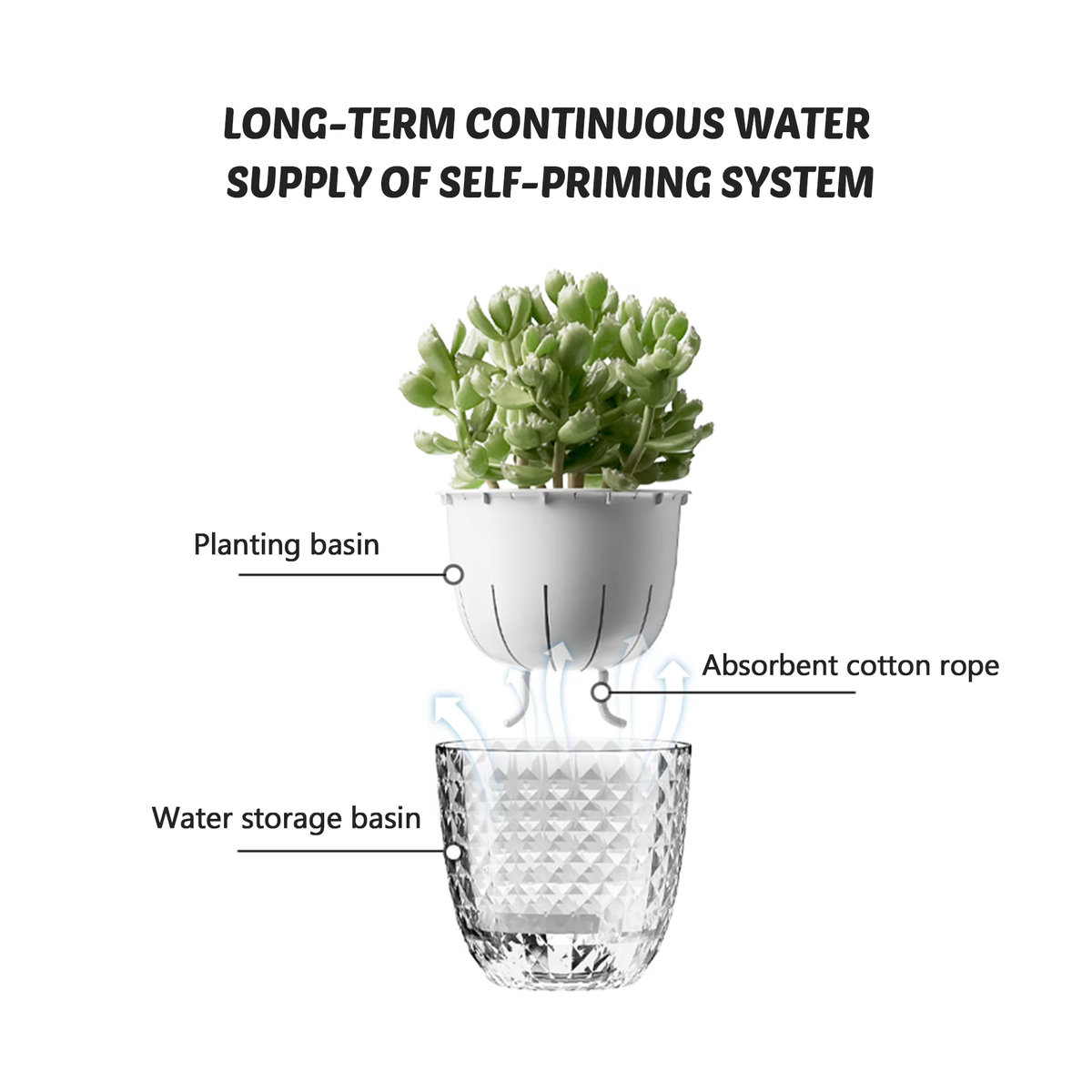 Selbstbewässernde Hydrokultur-Pflanzenvase von ACRDDK aus transparentem Kunststoff mit Baumwollseil und geometrischem Design - Bild 4
