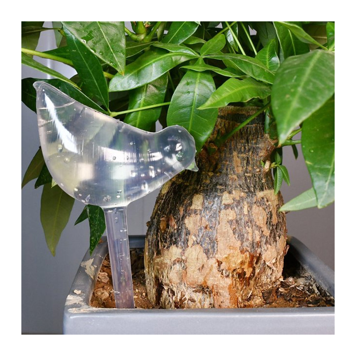 Selbstbewässernde Kugeln in Vogelform für die automatische Blumenbewässerung im Garten - Bild 1