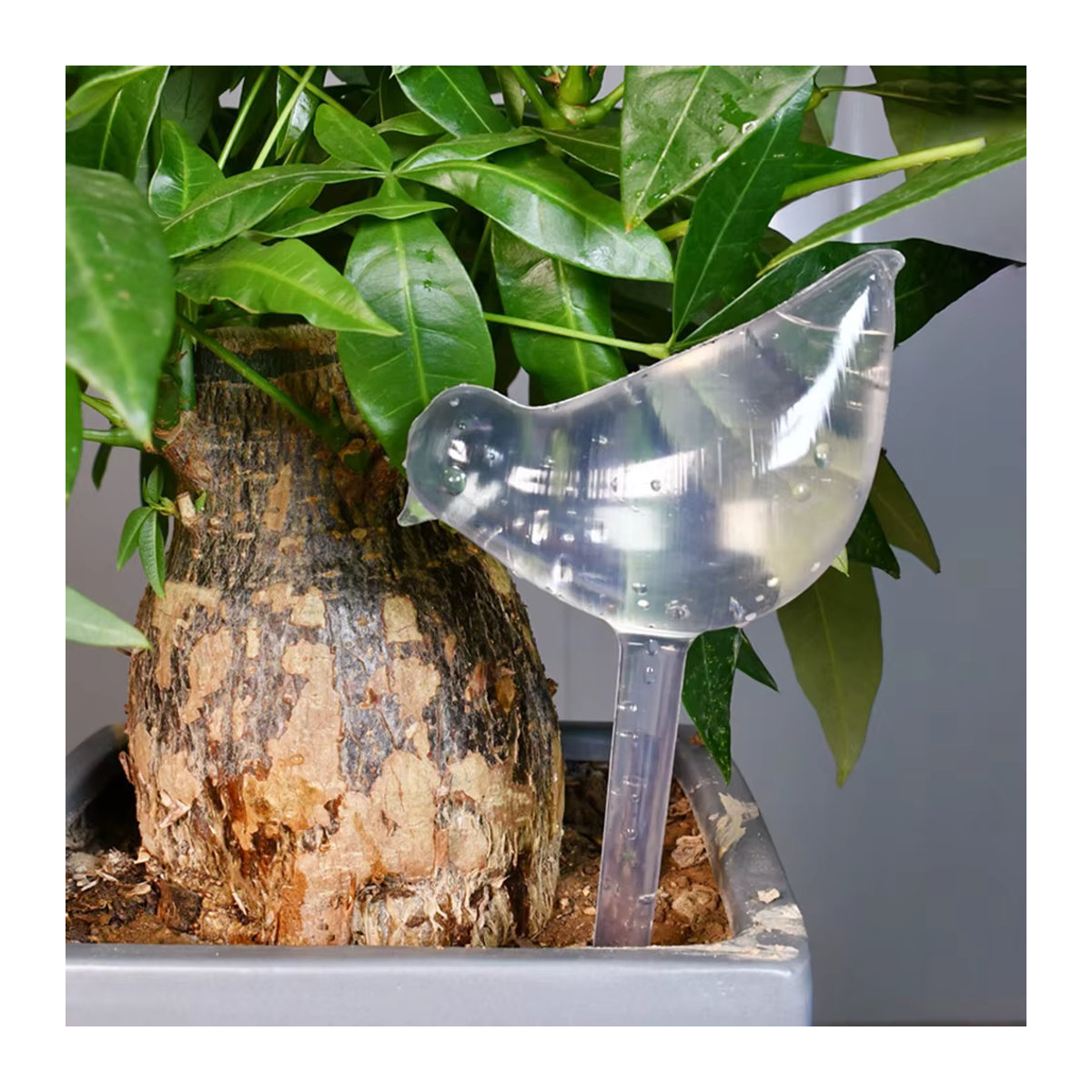 Selbstbewässernde Kugeln in Vogelform für die automatische Blumenbewässerung im Garten - Bild 3