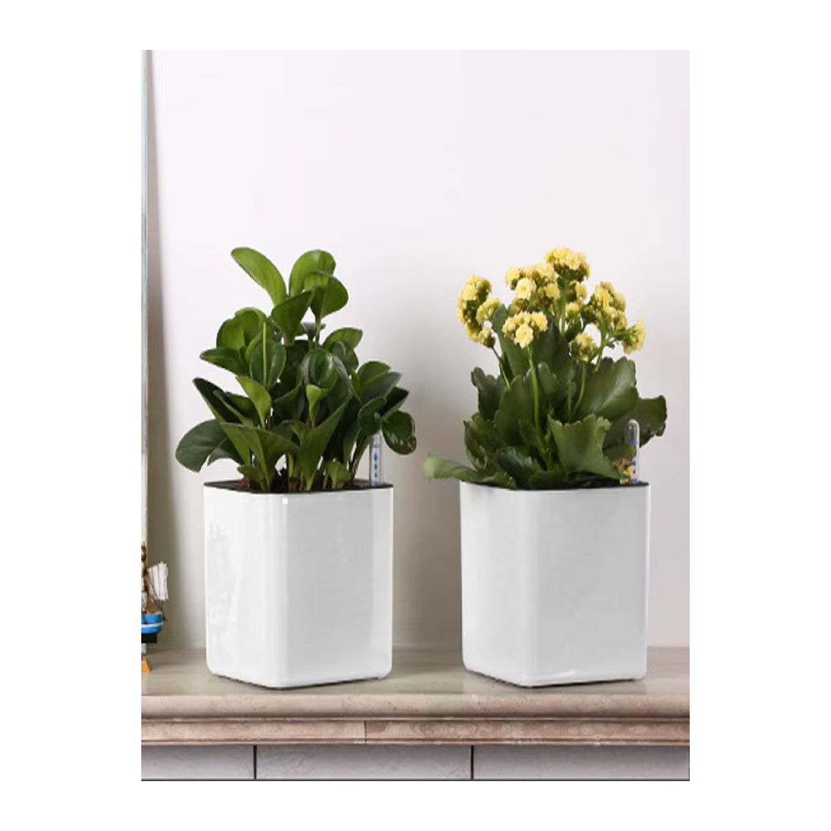 Selbstbewässernde Pflanztöpfe von ACRDDK mit Wasserstandsmesser, runder Blumentopf aus Kunststoff in Blau - Bild 5