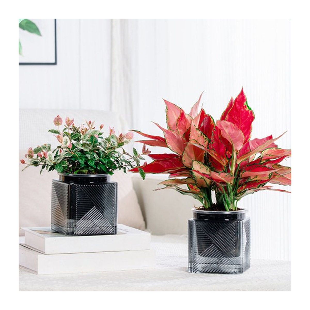 Selbstbewässernder hydroponischer Blumentopf von ACRDDK aus Kunststoff in Weiß und Transparent, quadratisch und modern gestaltet - Bild 1