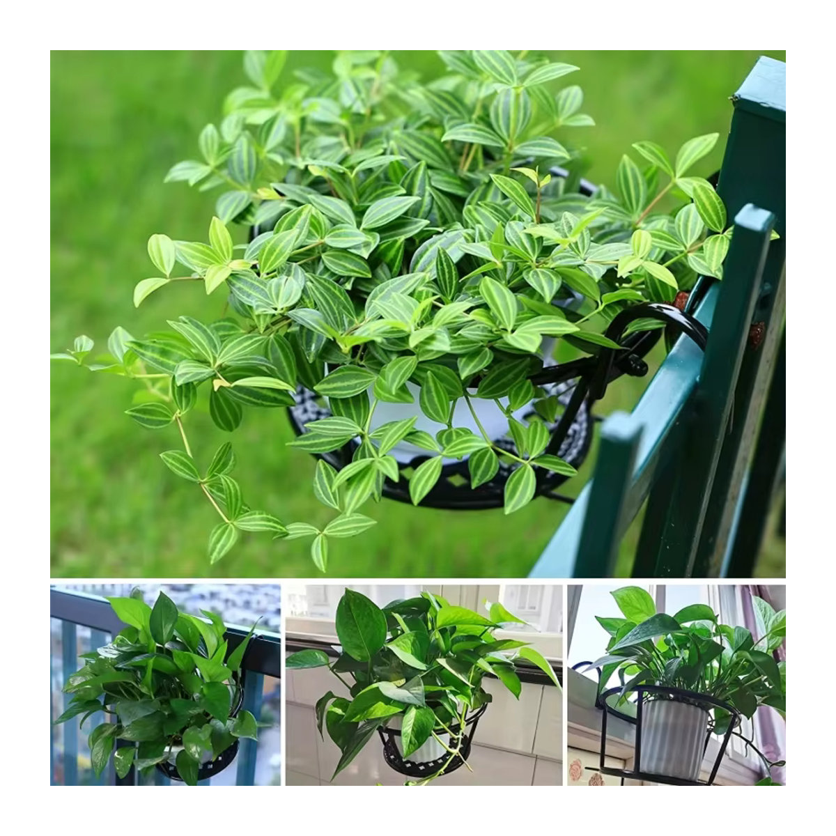 Set aus 3 schwarzen Blumenampeln aus Schmiedeeisen für dein Balkongeländer - Bild 5