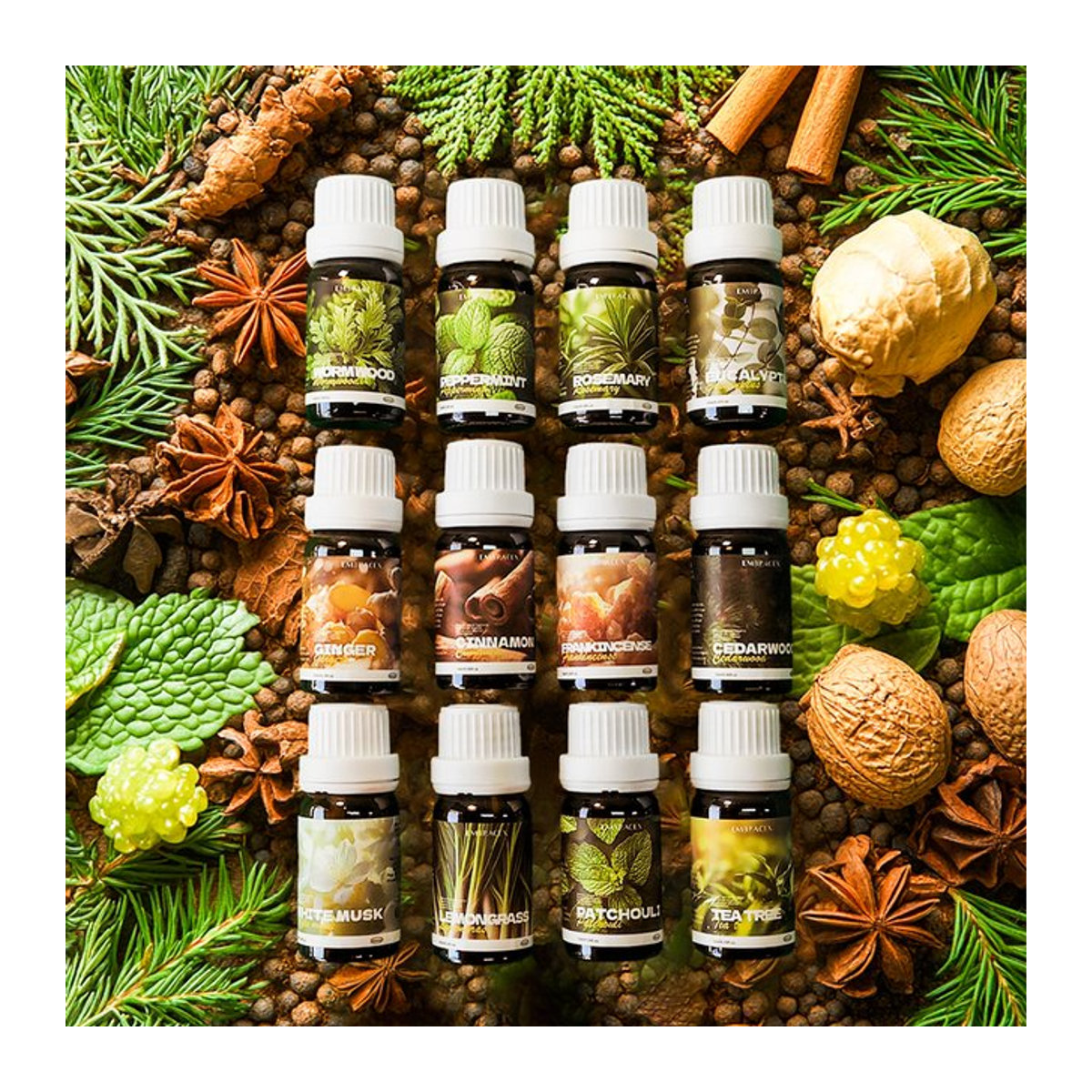 Set mit 12 natürlichen ätherischen Ölen von EMBRACEX für Diffusor und Hautpflege, mehrfarbig - Bild 1