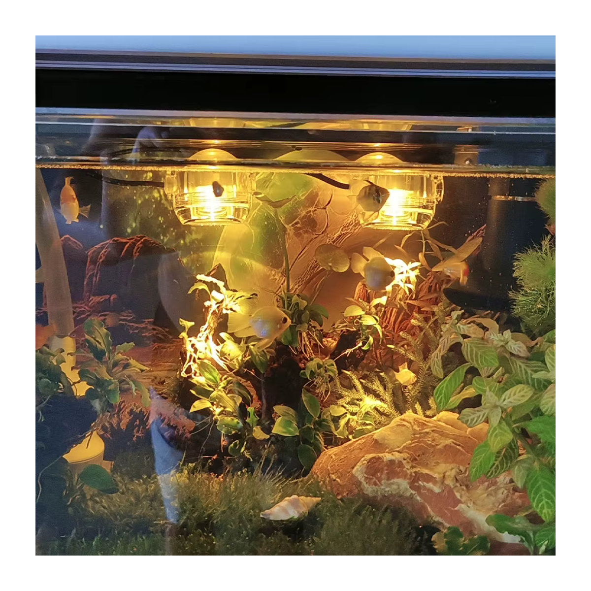SEVEN MASTER LED Aquarium-Scheinwerfer mit USB-Anschluss und buntem Farbverlauf als Tauchlicht - Bild 2