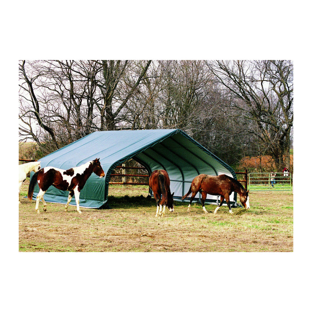 Shelter Logic Weidezelt Run-In-Shed in Grün aus Kunststoff und Stahl, B/T/H: 670 x 610 x 320 cm - Bild 4