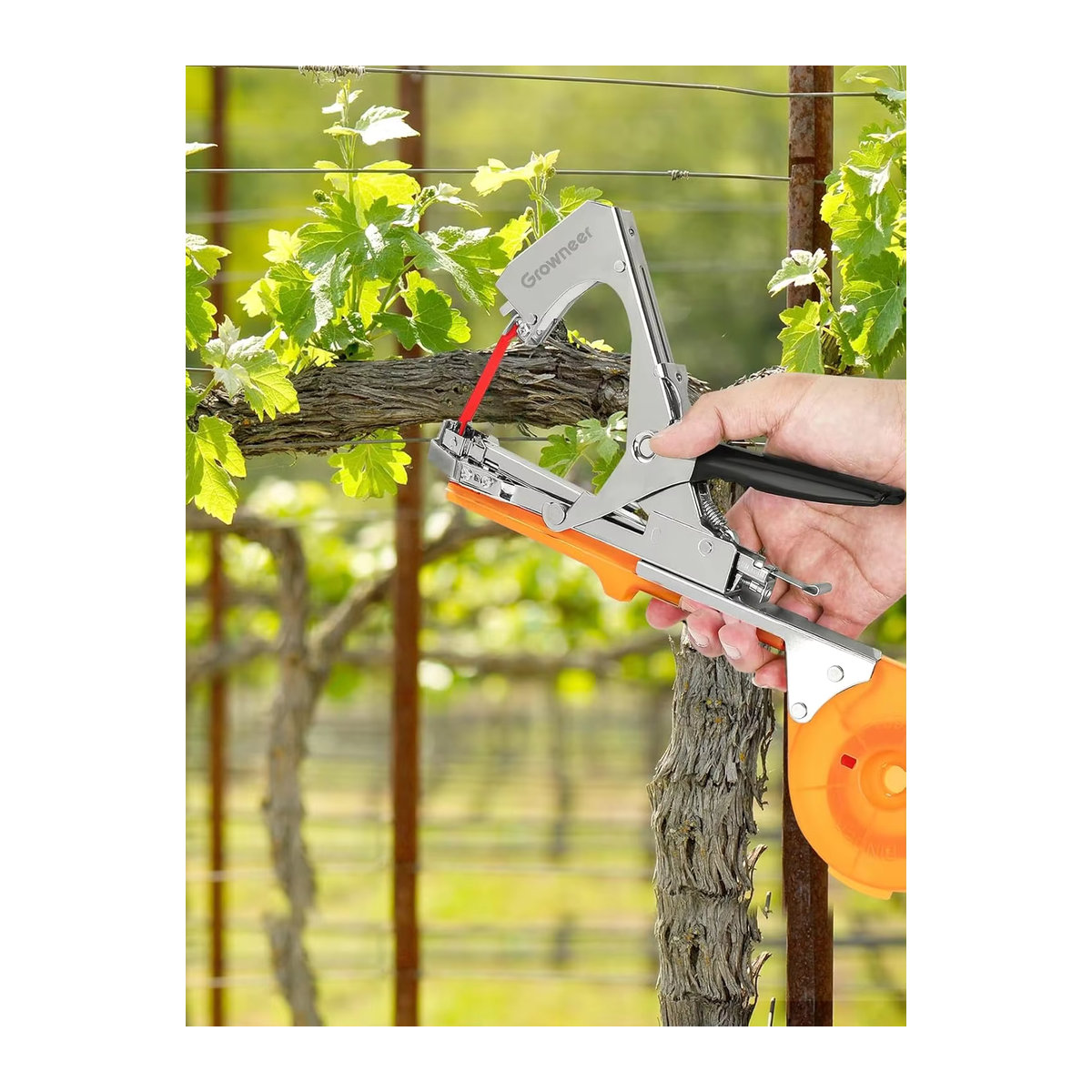 SI FANG Gartenpflanzen-Bindemaschine mit 5 Rollen Bändern zur Befestigung von Pflanzenzweigen und Gemüse - Bild 6