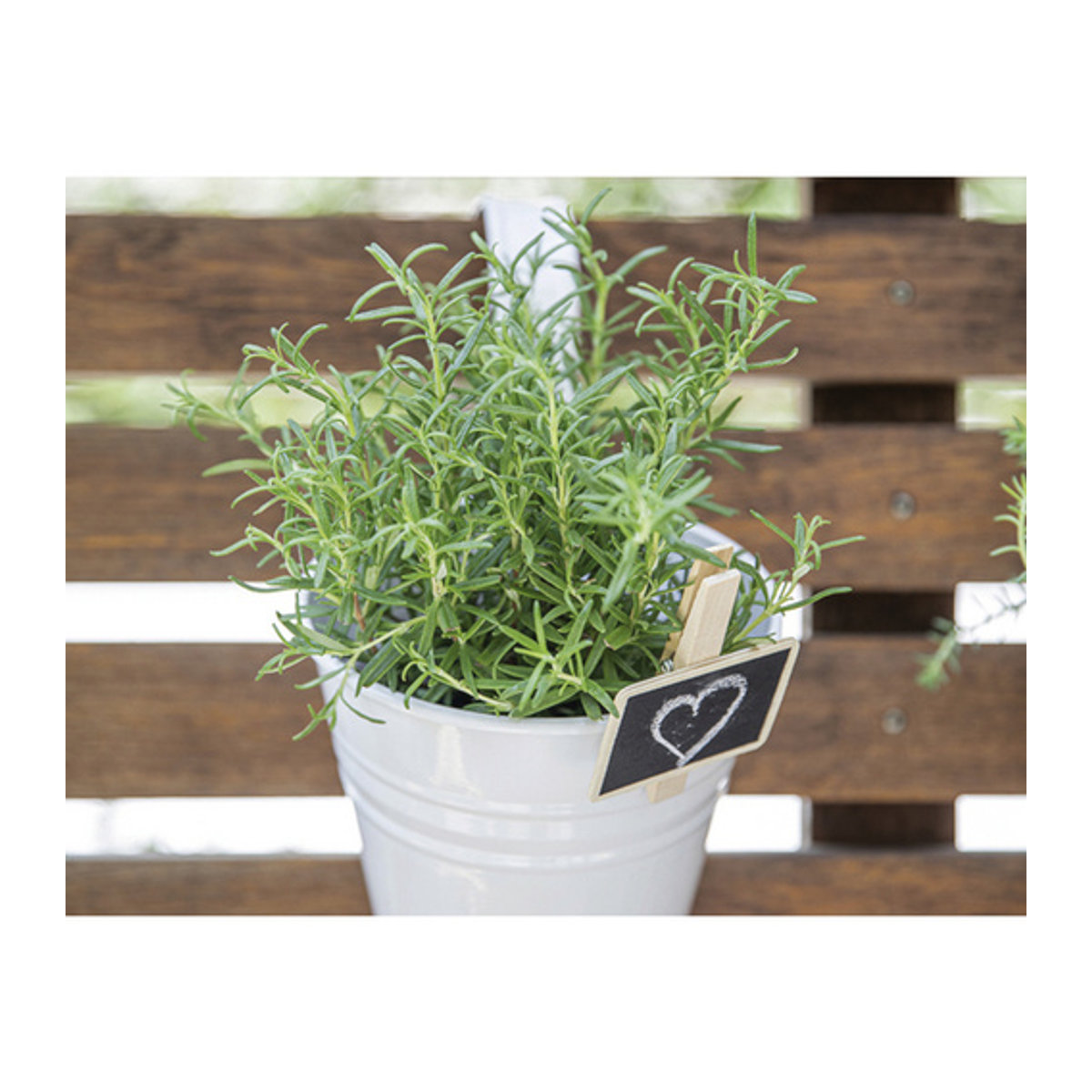 Siena Garden Pflanzgefäß Basic aus Metall, weiß, wandmontiert, Durchmesser: 16 cm, Höhe: 17,5 cm - Bild 2