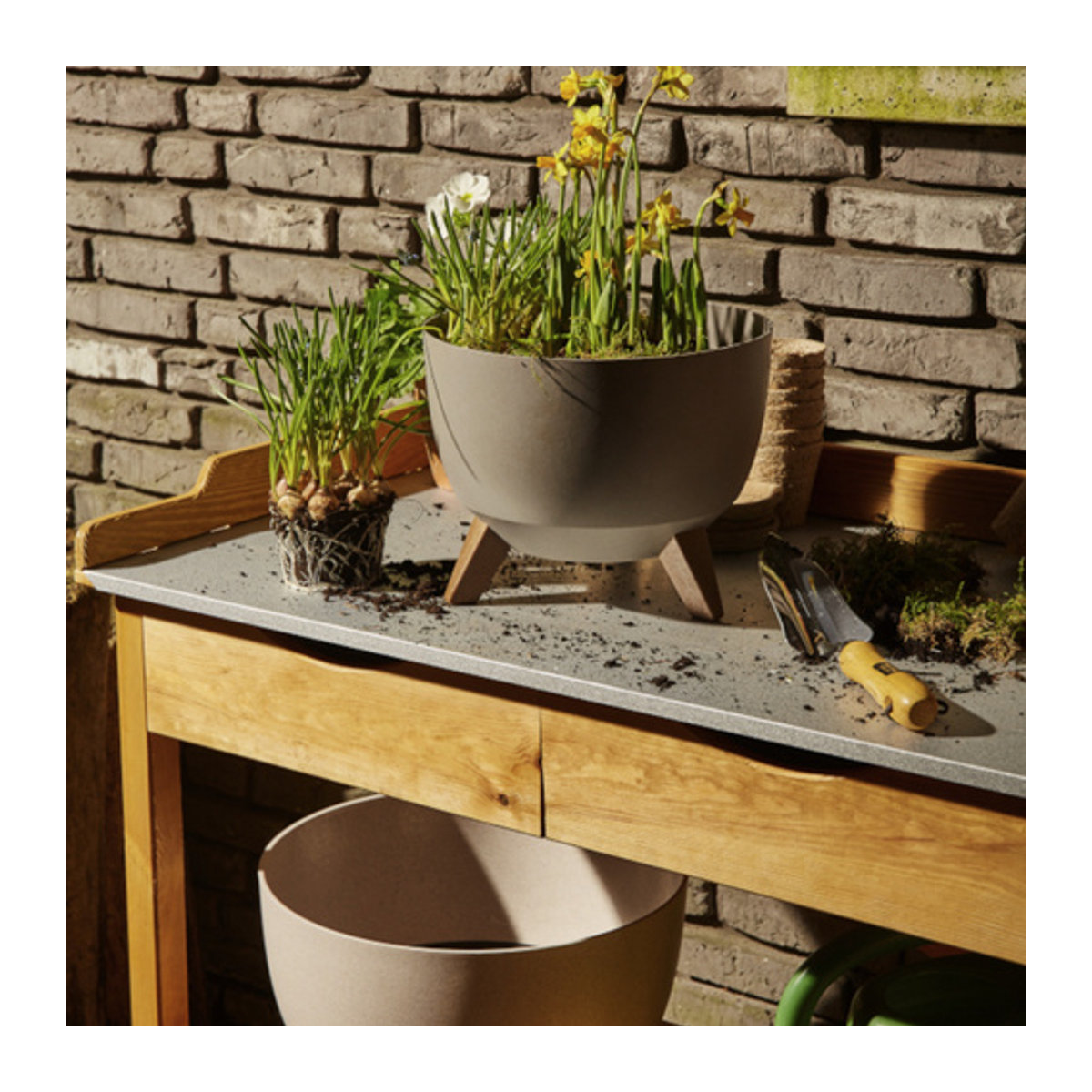SIENA GARDEN Pflanzgefäß OSLO in Grau, rundes Design aus Kunststoff und Holzfasern, Durchmesser: 47 cm - Bild 3