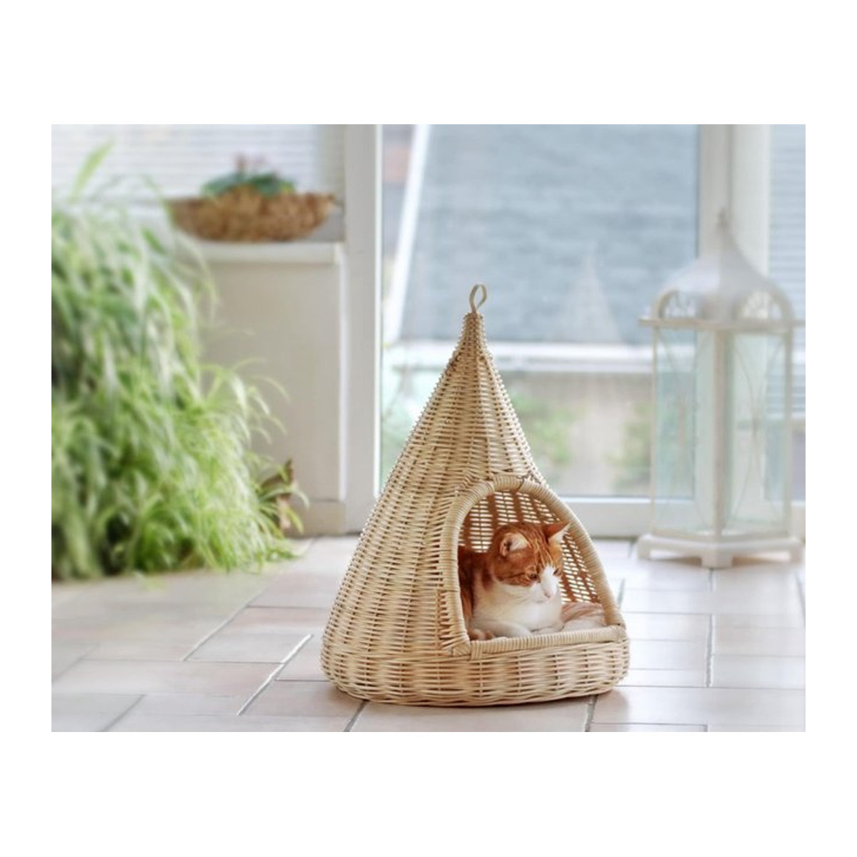 Silvio Design Sammy Katzen Hängekorb aus Rattan in Beige im Bohemian-Stil - Bild 1