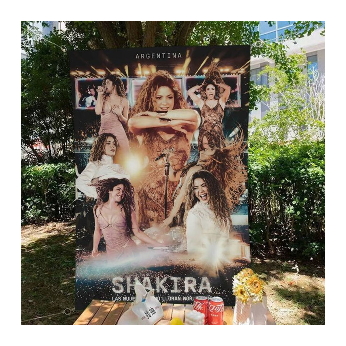 Singer S-Shakira Stoffflagge mit Science-Fiction Porträt als Wanddeko, mehrfarbig, B: 50 cm, H: 70 cm - Bild 1