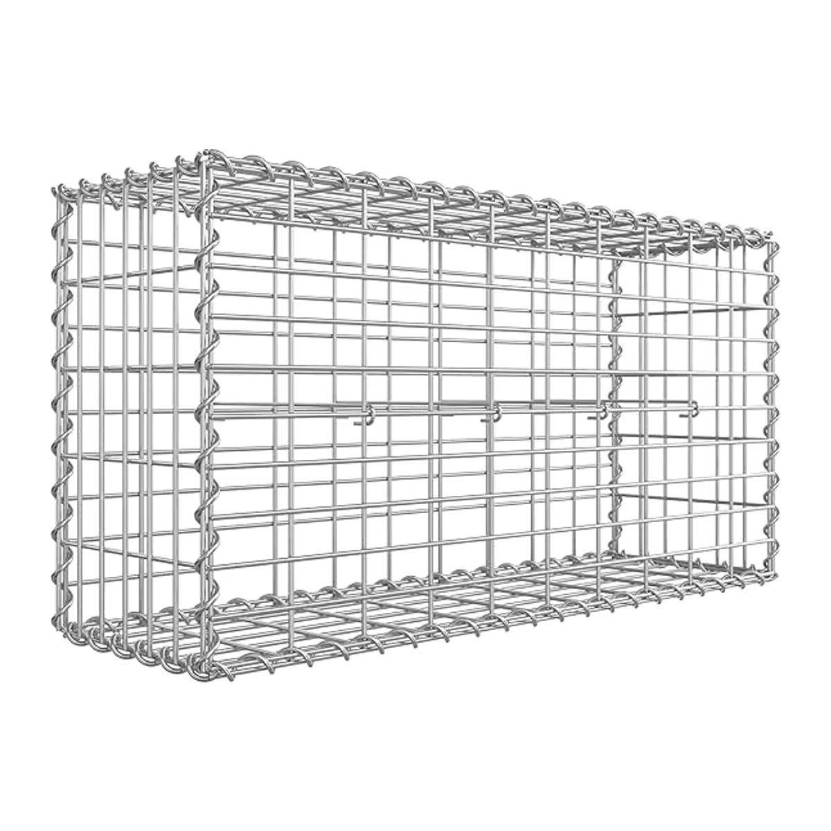 SONGMICS Hochbeet Gabionen Gabionenkorb aus Metall B/T/H: 100 x 50 x 30 cm - Bild 2