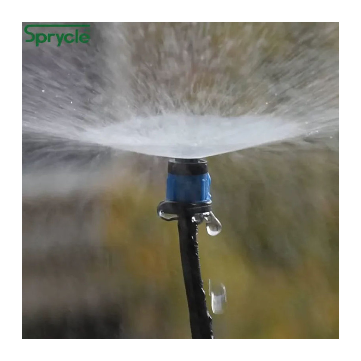 SPRYCLE Mikro-Bewässerungssprinkler Set, 20 Stück, 360 Grad drehbare Düsen in Blau, für Blumengarten und Gewächshaus, passend für 4/7 mm Schläuche - Bild 3