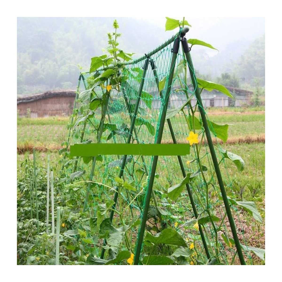 Stabiles Nylon Pflanzen-Gitter zur Unterstützung von Kletterpflanzen wie Luffa, Wein oder Gurken, 1 Stück - Bild 1