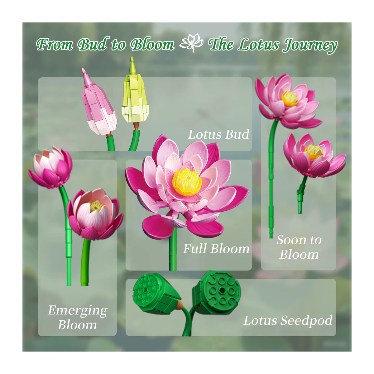 Stemedu Lotusblumen-Baukasten mit Vase, 710-teiliges DIY-Blumenstrauß-Modell aus Kunststoff, mehrfarbiges Dekobaulement für Kinder und Erwachsene - Bild 5