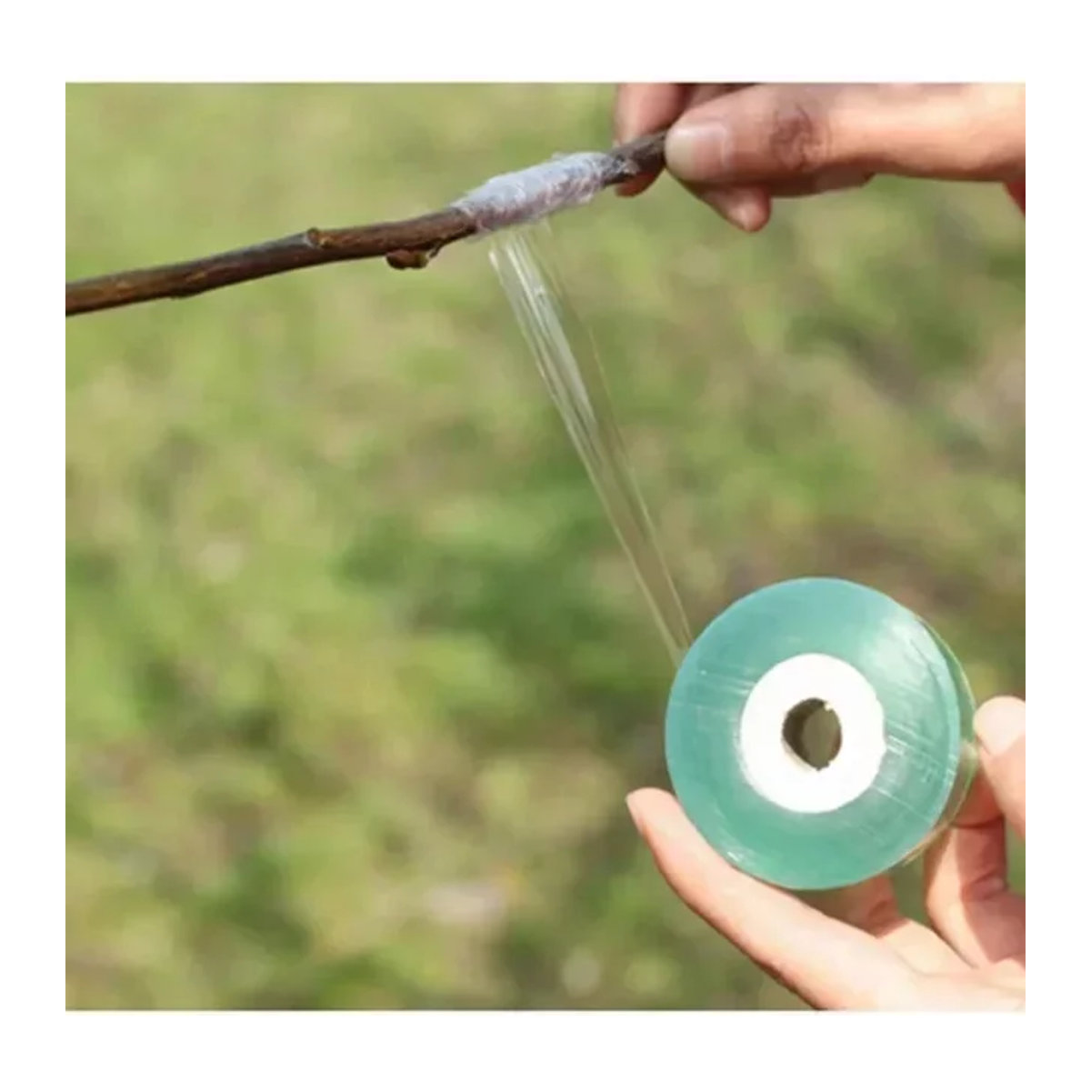Stretch Grafting Tape für Obstbäume und Gartenpflanzen, 100 m x 2 cm Rolle zur Veredelung und Beschneidung - Bild 1