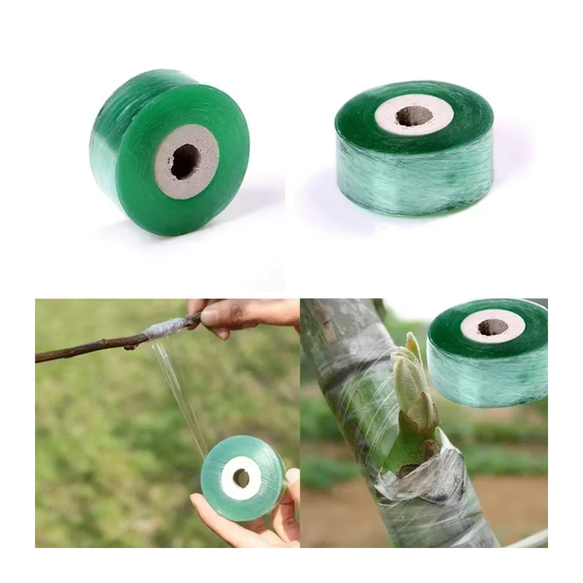 Stretch Grafting Tape für Obstbäume und Gartenpflanzen, 100 m x 2 cm Rolle zur Veredelung und Beschneidung - Bild 2