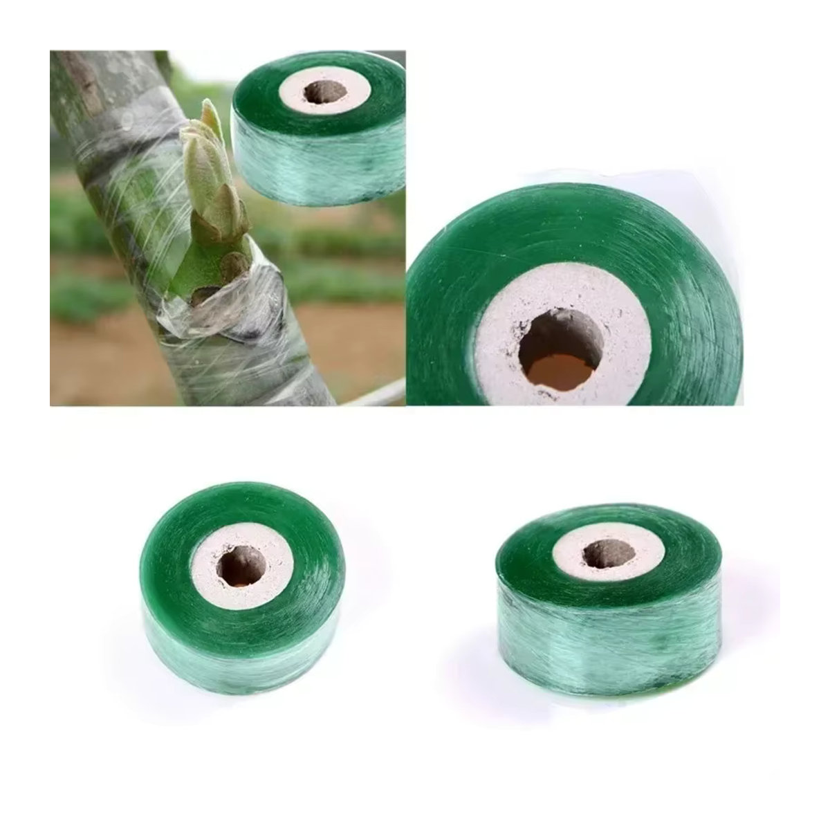 Stretch Grafting Tape für Obstbäume und Gartenpflanzen, 100 m x 2 cm Rolle zur Veredelung und Beschneidung - Bild 5