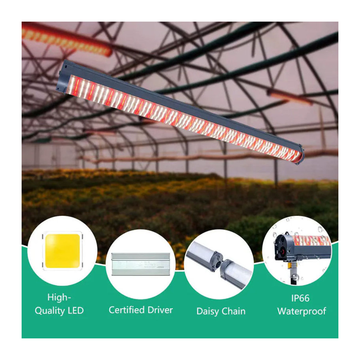 SUFEMOTEC LED-Pflanzenlampe 120W mit Vollspektrum und Fernrot aus Aluminium für das Wachstum und die Blüte in Gewächszelten und Indoor-Anwendungen - Bild 5