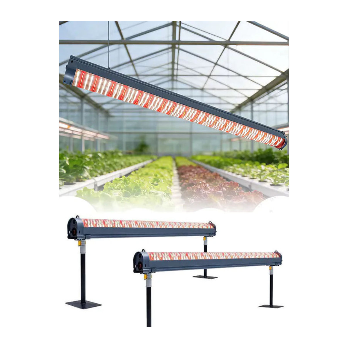 SUFEMOTEC LED-Pflanzenlampe 120W mit Vollspektrum und Fernrot aus Aluminium für das Wachstum und die Blüte in Gewächszelten und Indoor-Anwendungen - Bild 6