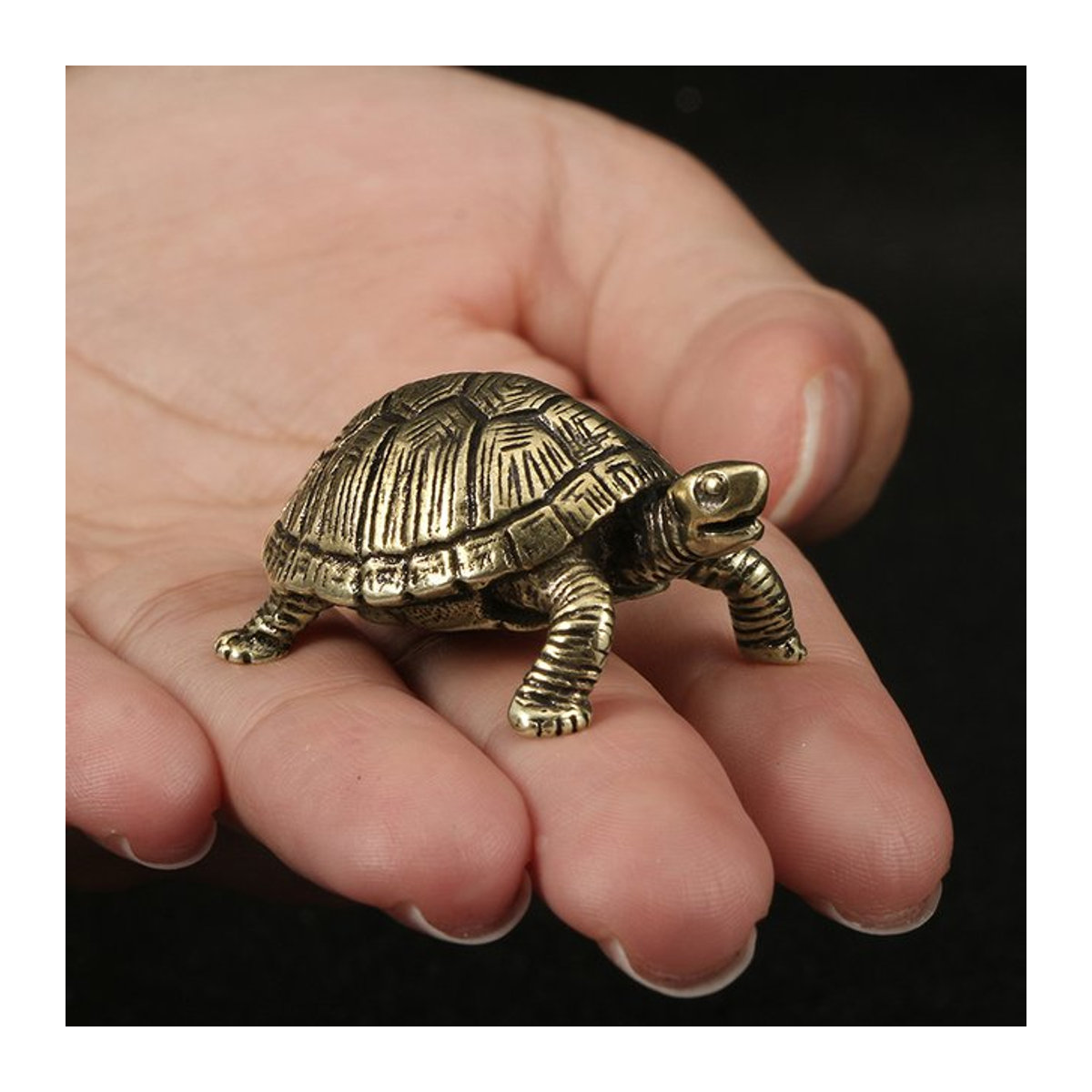 Syxing Messing-Schildkrötenstatue in Gold als dekorative Tischdekoration für Büro und Zuhause - Bild 1