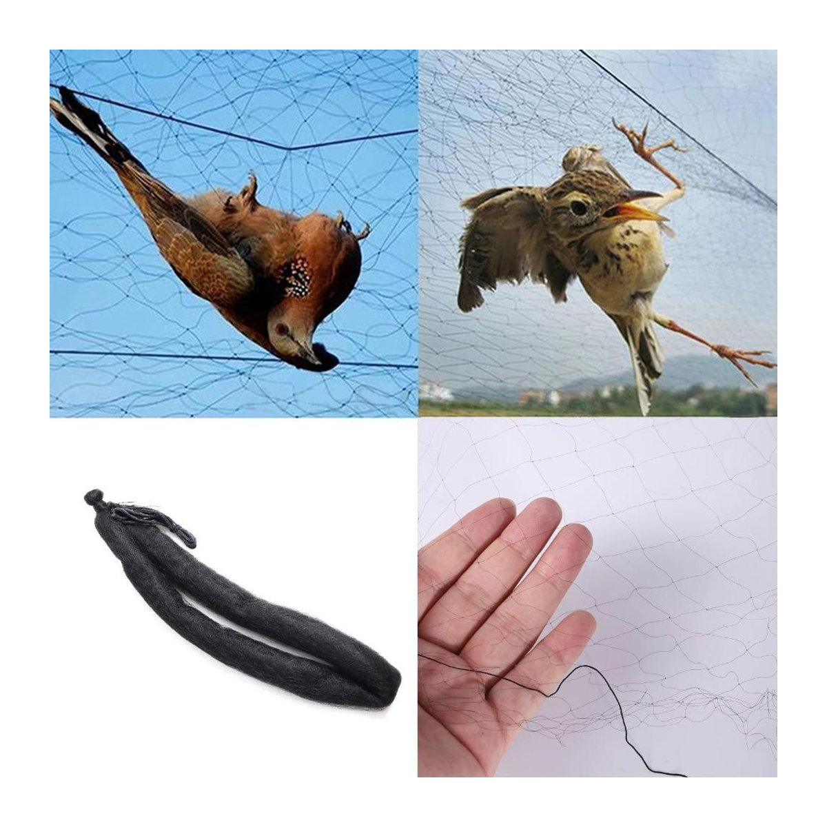 taihaowan Vogelschutznetz aus Kunststoff zur Schädlingsbekämpfung B: 3 m, H: 8 m - Bild 2