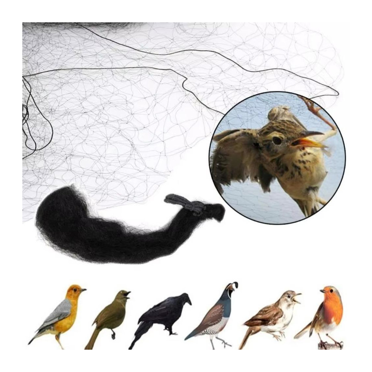 taihaowan Vogelschutznetz aus Kunststoff zur Schädlingsbekämpfung B: 3 m, H: 8 m - Bild 4