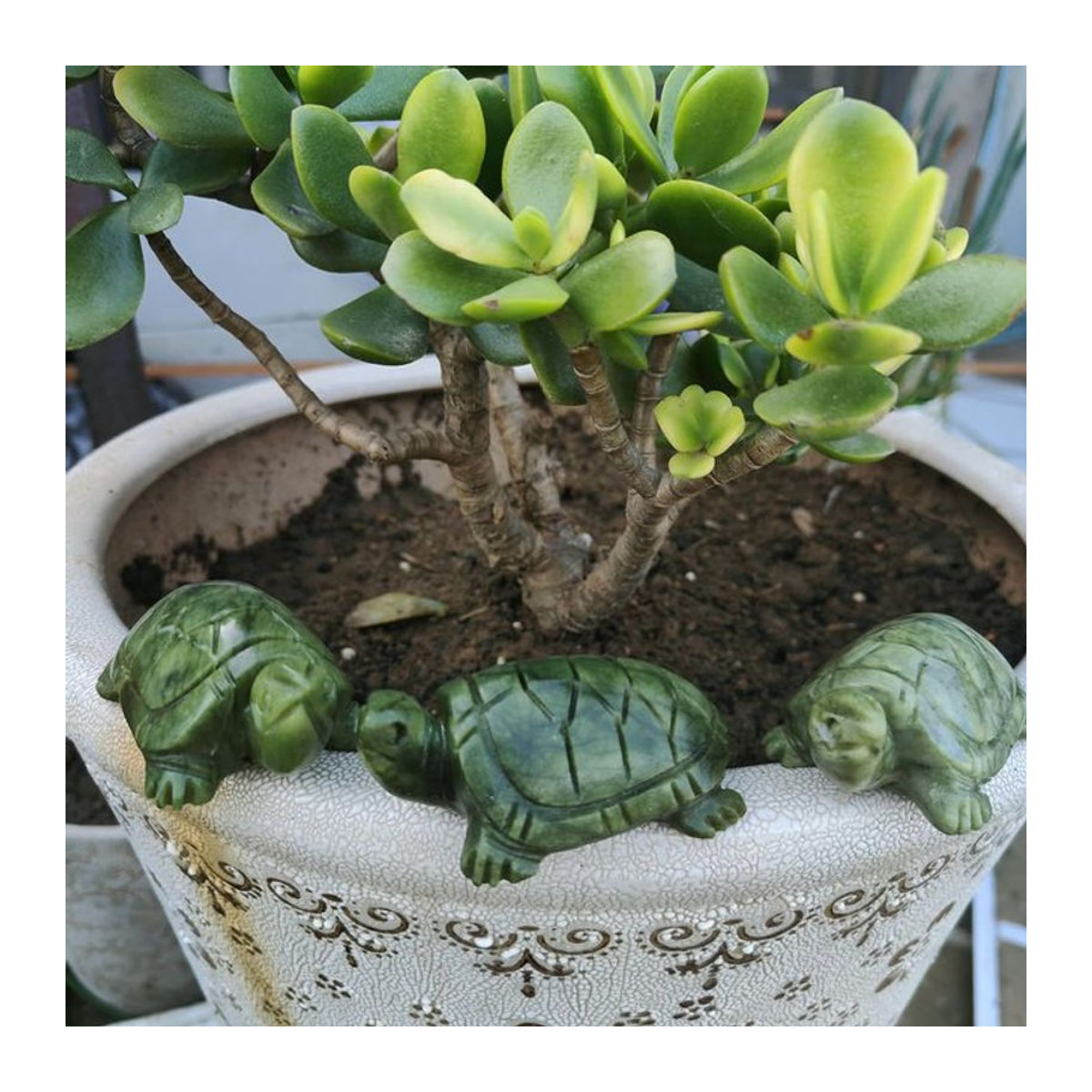 TAIHESJ Xiuyan Jade Schildkröte aus grünem Naturstein als Feng Shui Ornament zur Dekoration - Bild 1